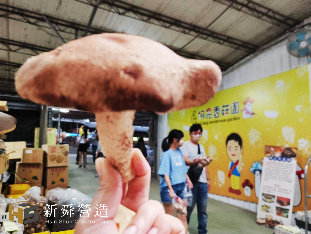 採香菇體驗