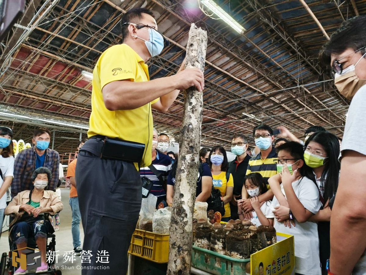 菇類知識導覽